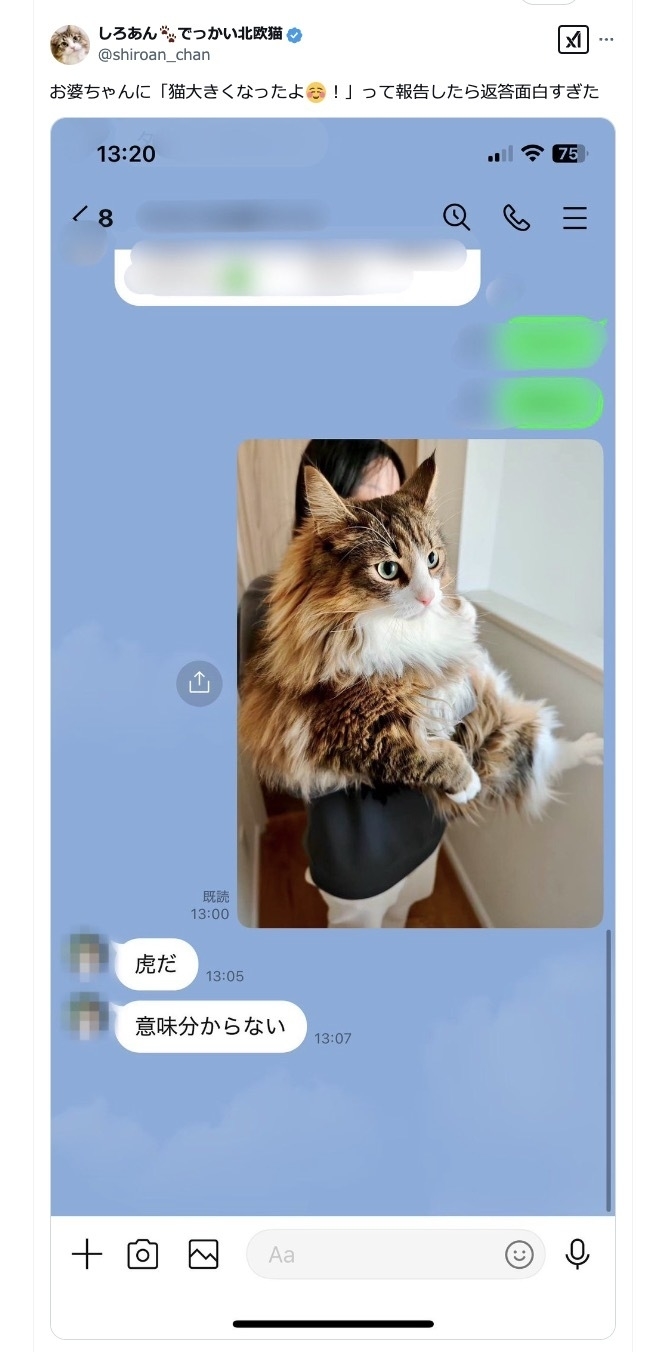 猫大きくなったよ！】おばあちゃんにLINEで報告したらまさかの