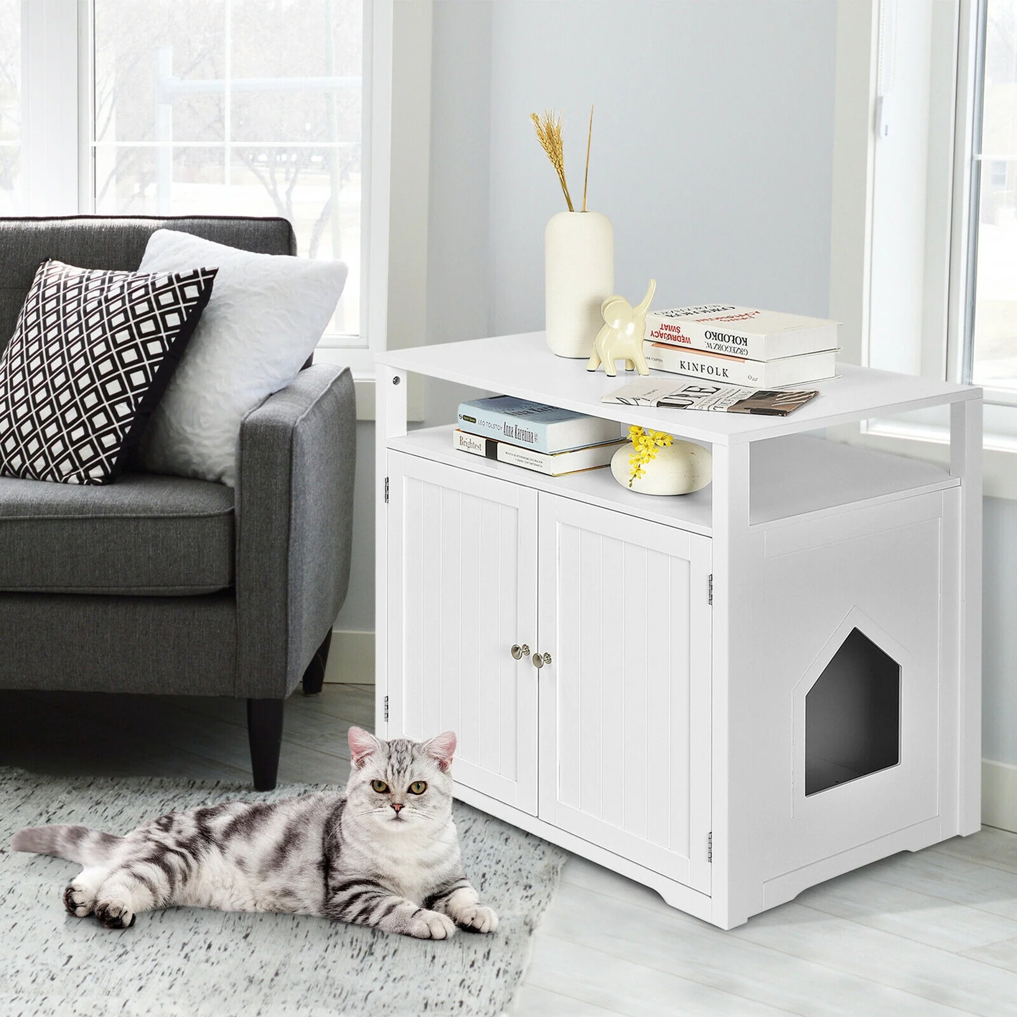 Cat bersantai di atas karpet di samping kabinet putih bergaya dengan buku dan dekorasi, ditempatkan di dekat sofa abu -abu modern, di pengaturan ruang tamu yang nyaman