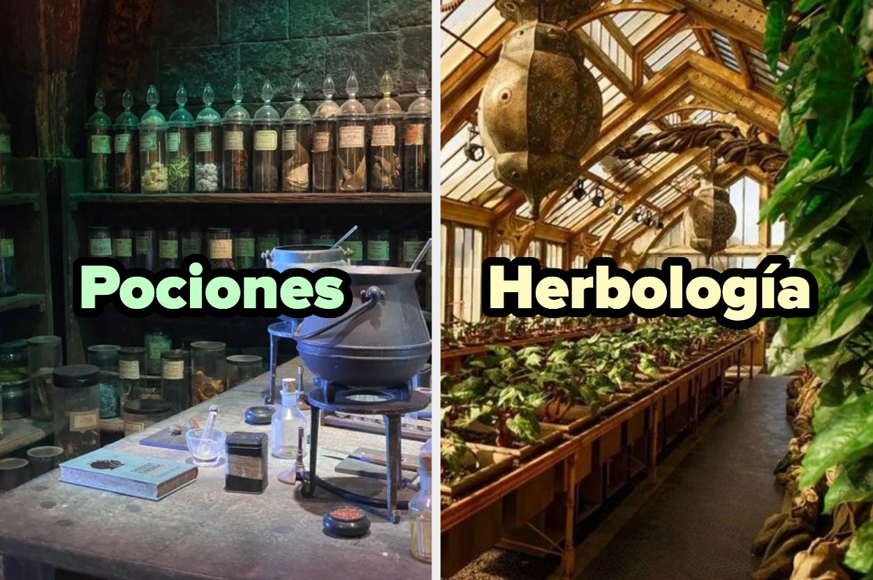 Imagen dividida: a la izquierda, aula de pociones con frascos; a la derecha, invernadero de herbología con plantas. Texto: "Pociones" y "Herbología"