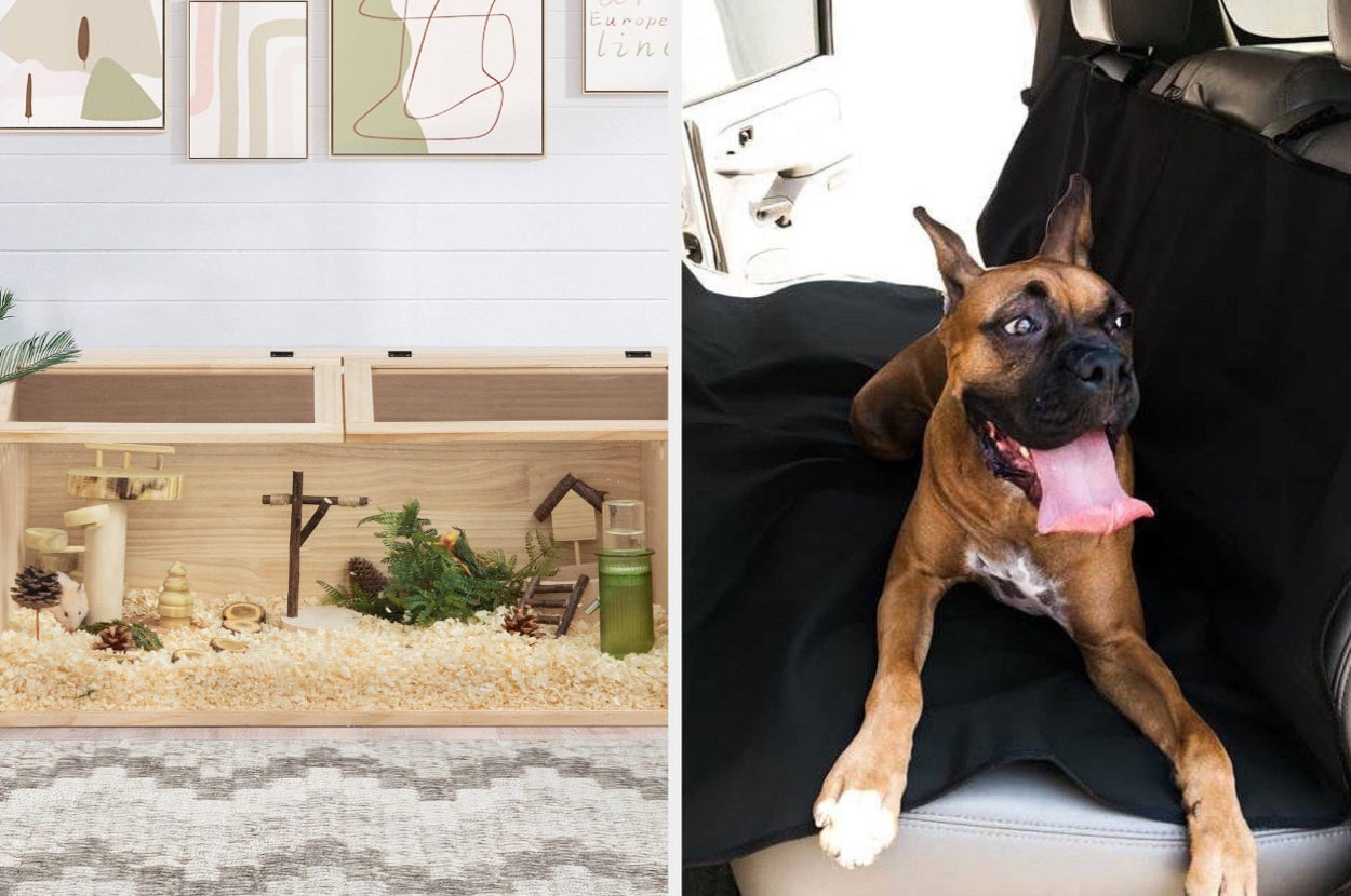 Left: Wooden hamster habitat with decorations. Right: Boxer dog sitting in a car seat cover