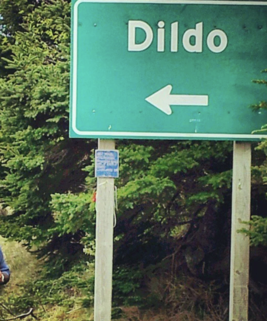 Road motion   pointing to the municipality  of Dildo, with trees successful  the background