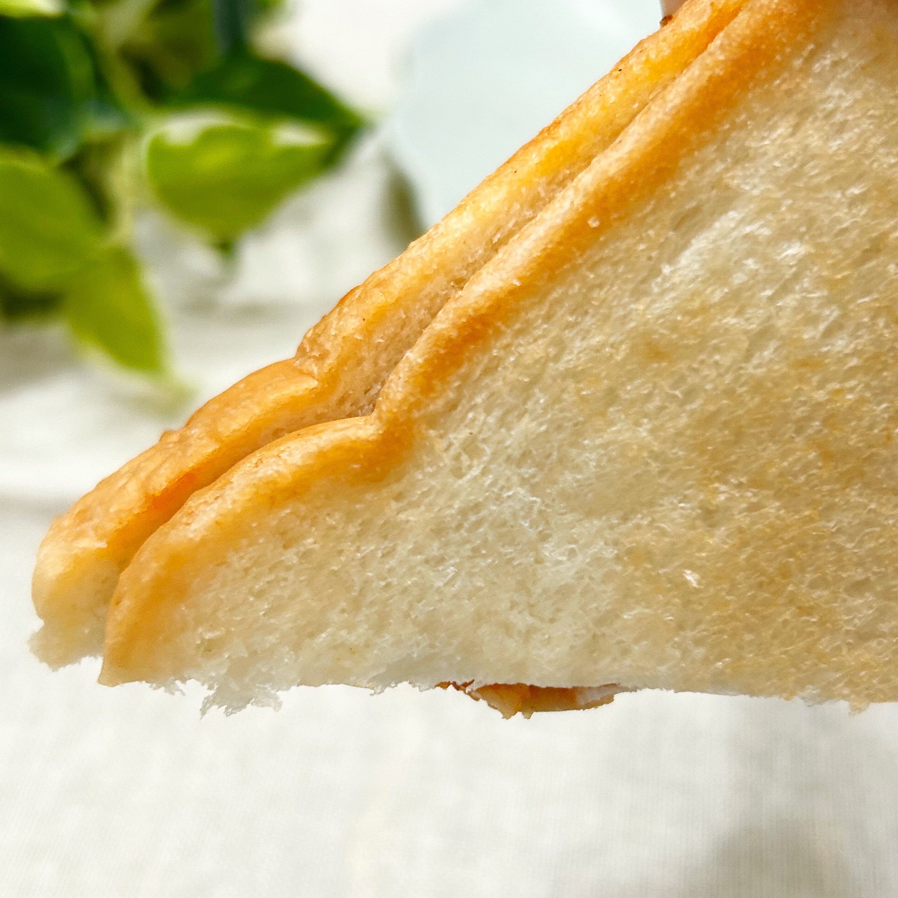 ファミマ】チキンがごろごろ乗った「178円パン」おいしすぎてペロリと