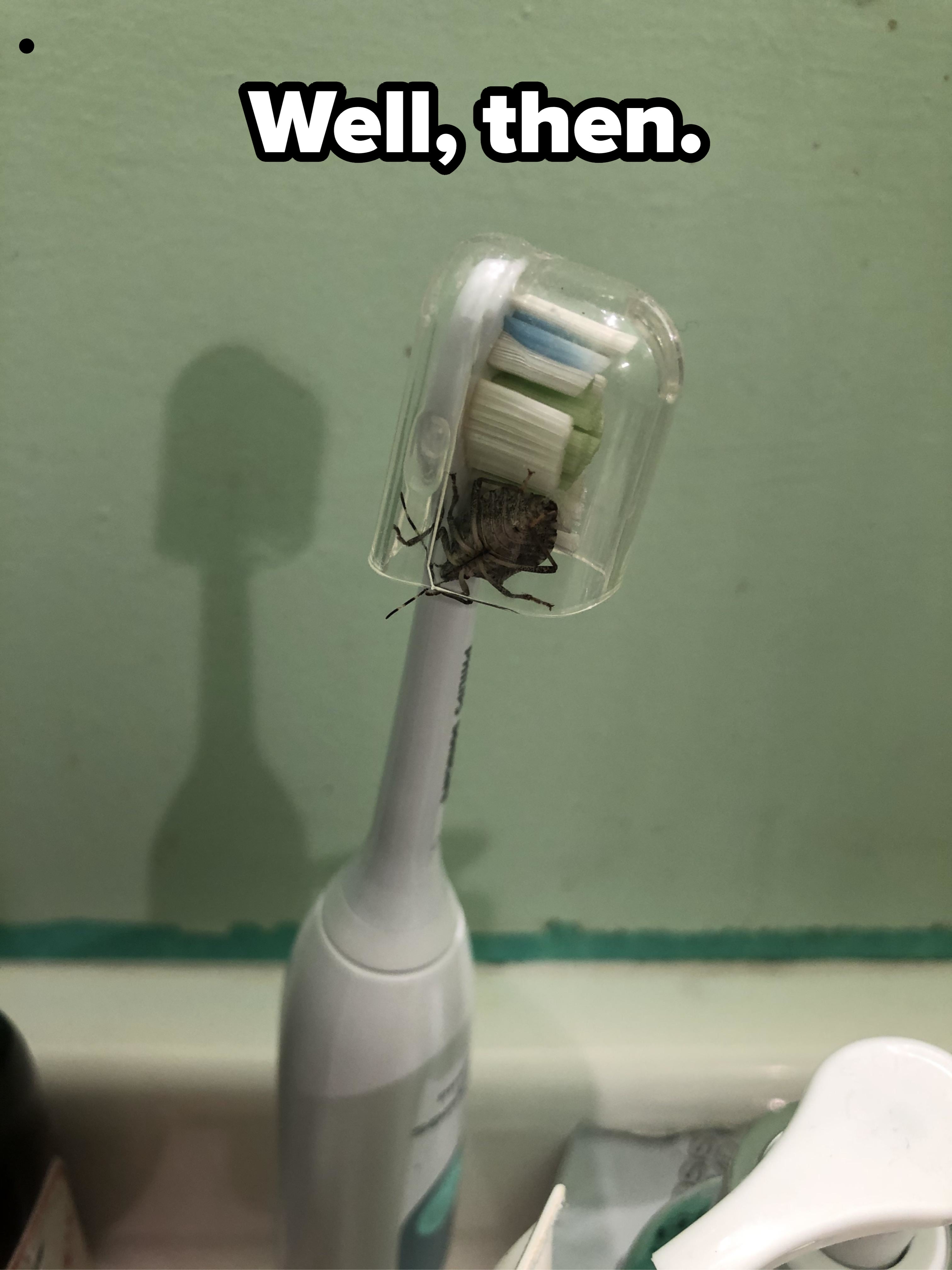 Inside Out Toothbrush 60 People Who Made A Very, Very, Very, Very, Very, Very, Very, Very ...