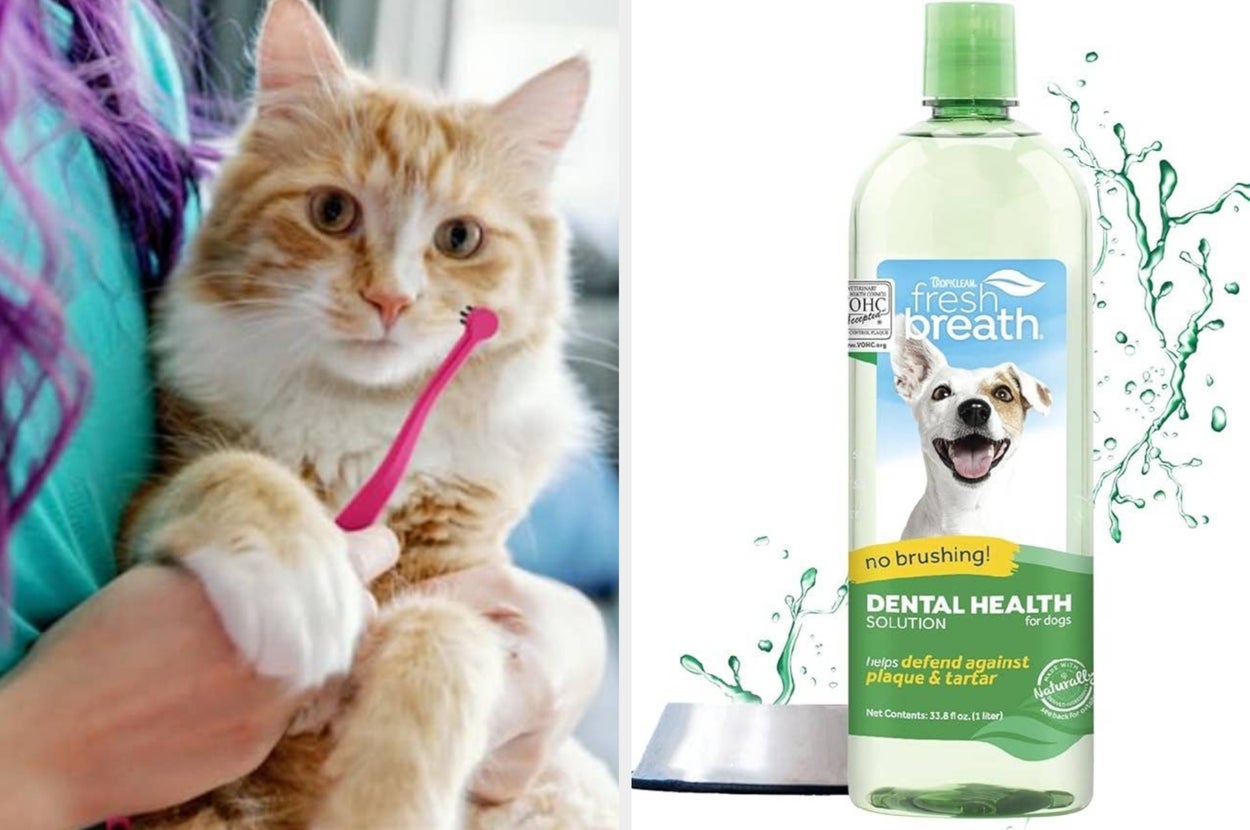 The pet toothbrushes