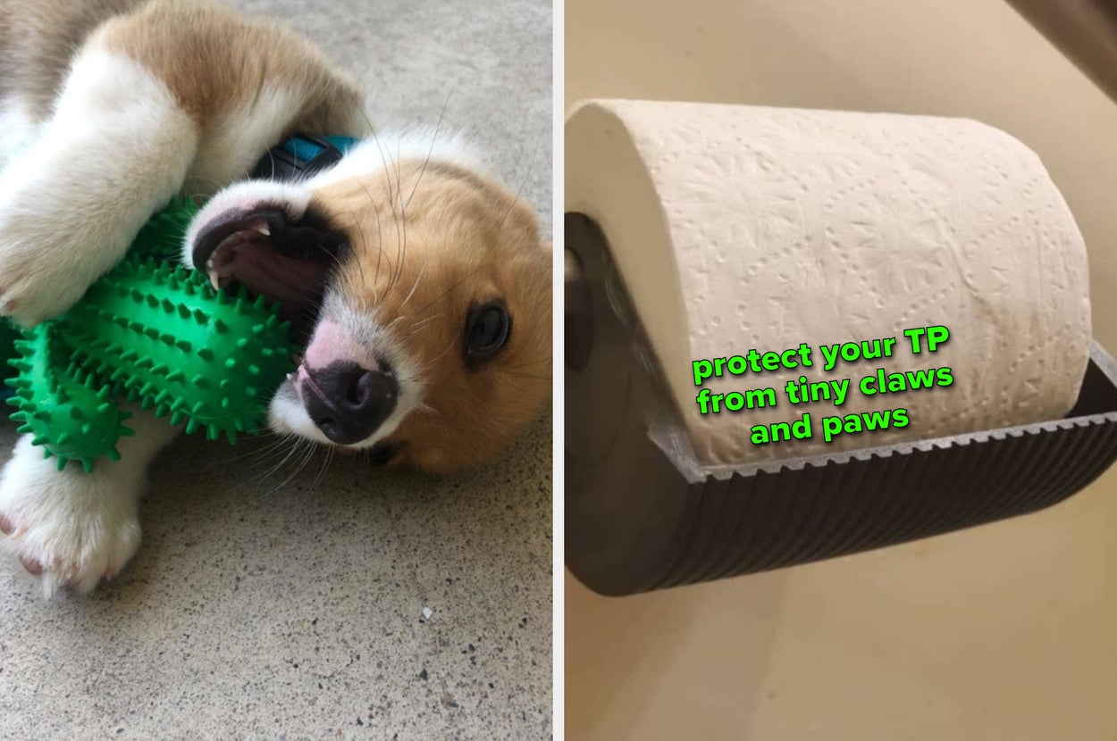 Pet hair removers next to a toilet paper roll on a holder with text: "Protect your TP from tiny claws and paws."
