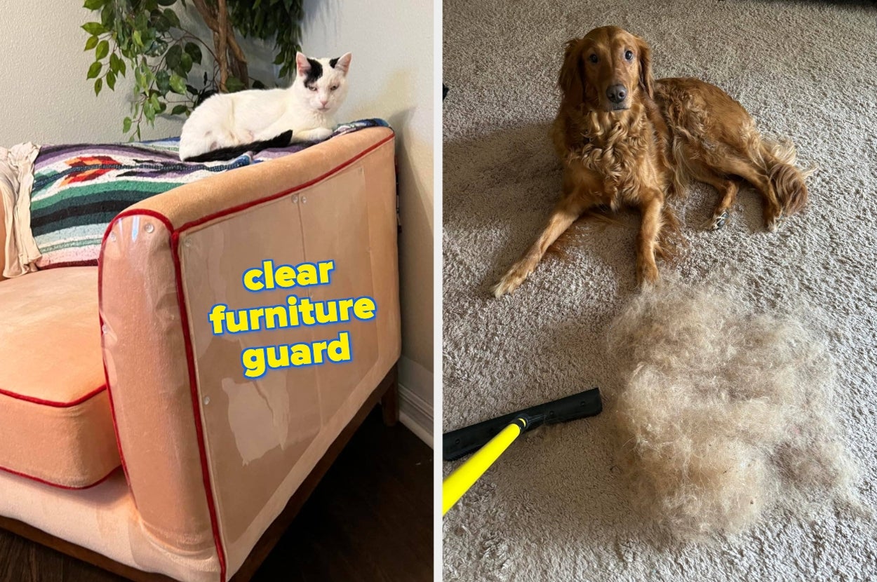 Left: Cat on a sofa with a clear furniture guard. Right: Dog on carpet next to a pile of fur