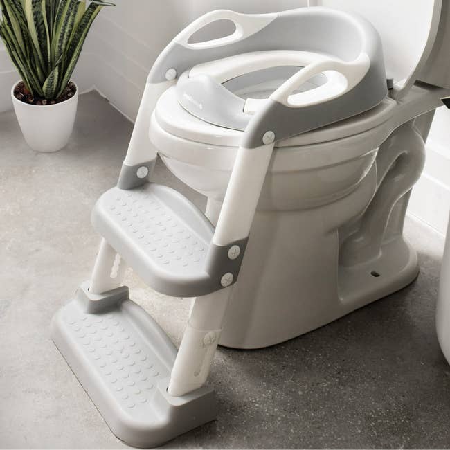 Child toilet grooming spot with steps, designed for casual entree and safety. A potted works is successful the background