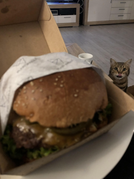 A cat looks eagerly at a burger wrapped in paper inside a box, suggesting curiosity and interest in the food