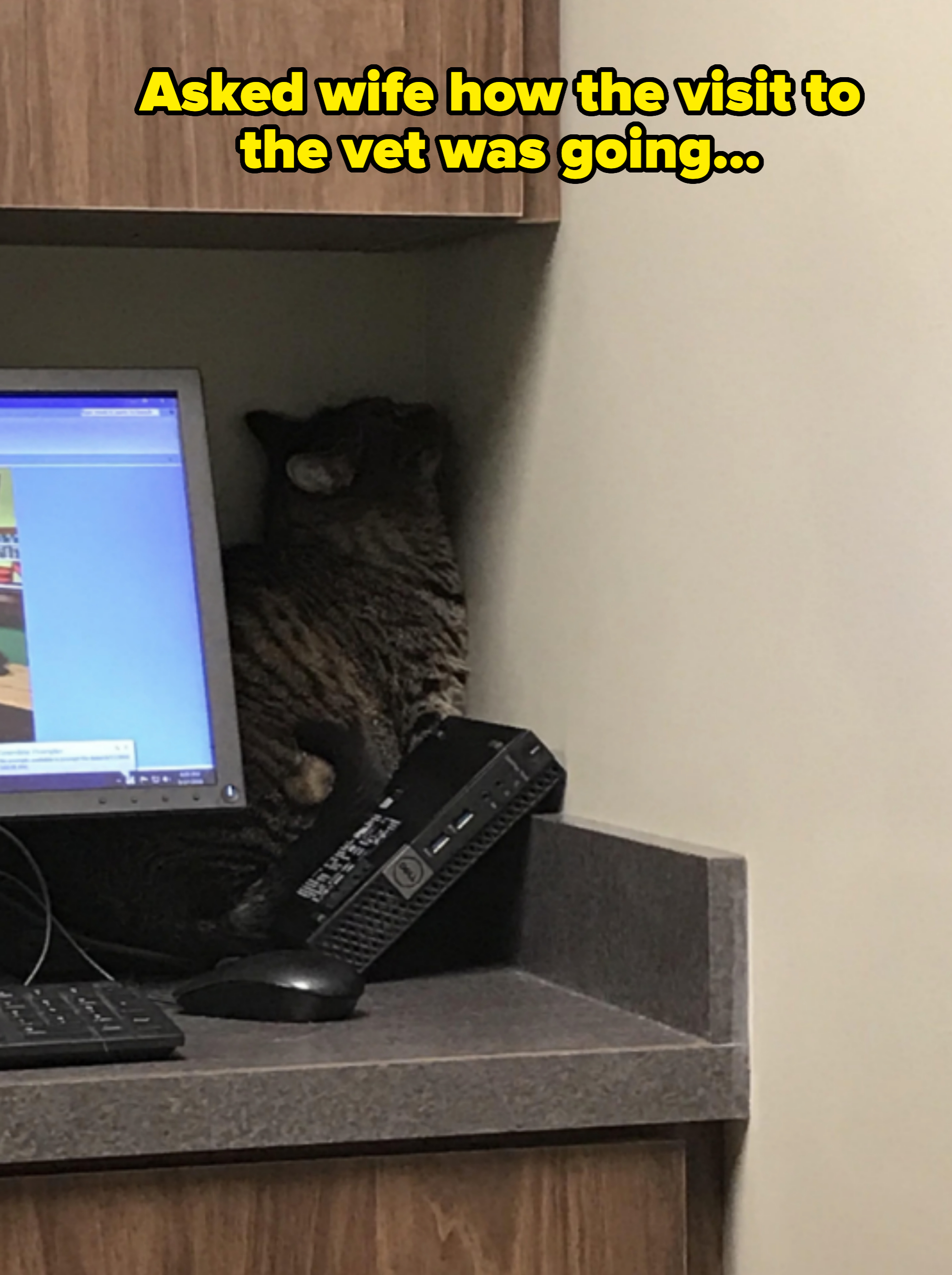 Cat sitting next to a monitor, facing the wall, with its head hidden