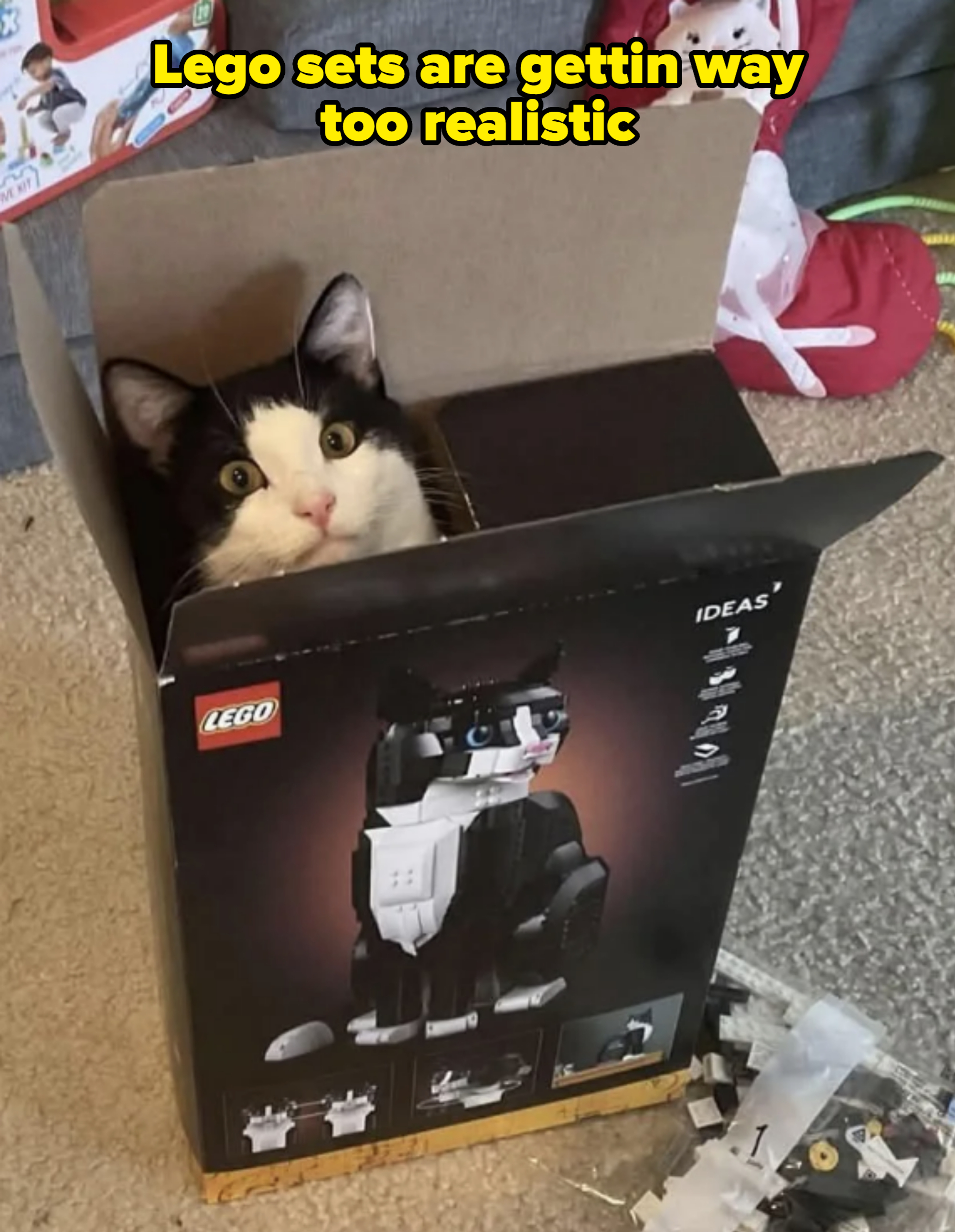 Cat peeking out of a LEGO box featuring a black and white model cat on the front. LEGO pieces scattered on the floor