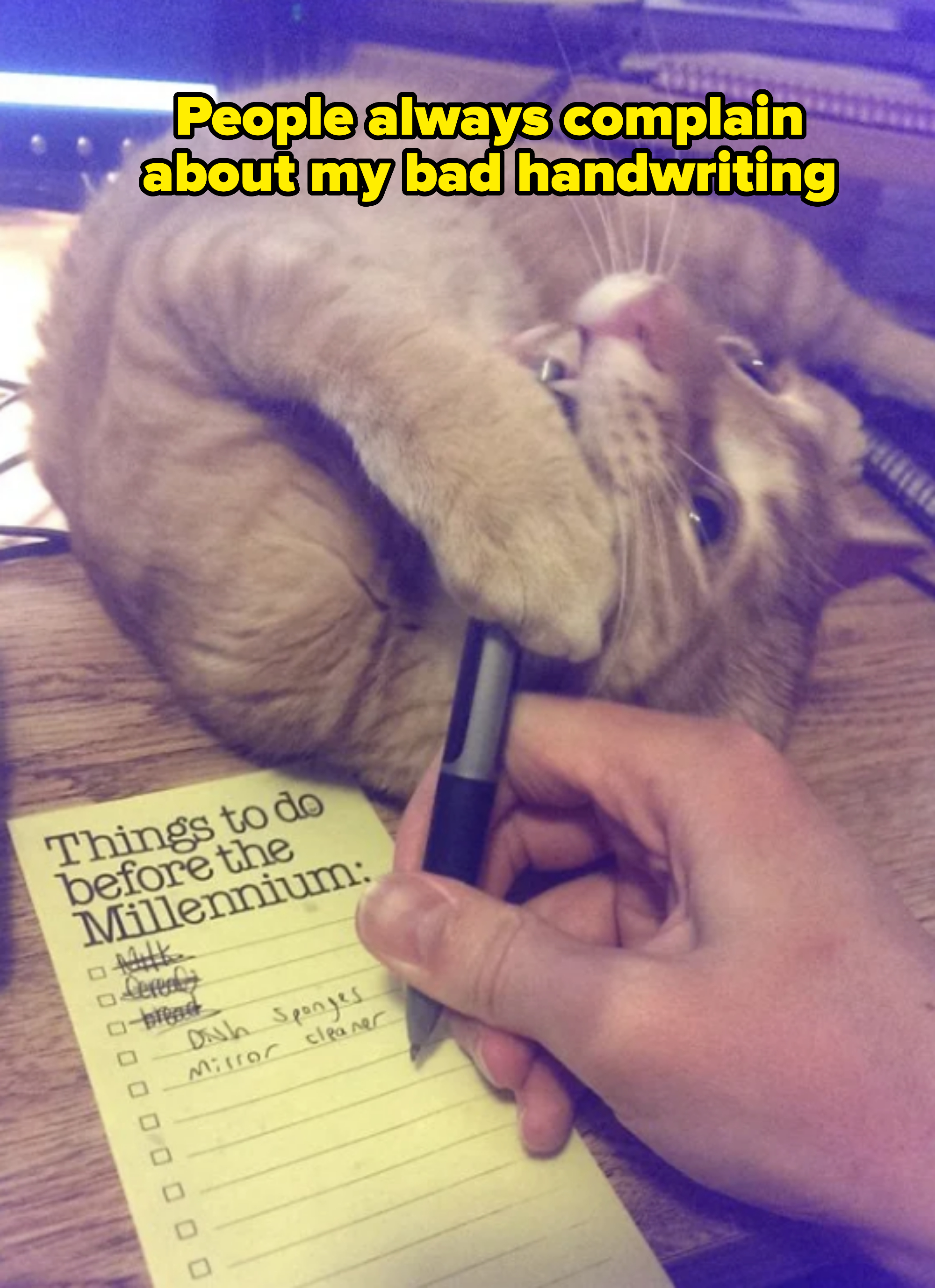 Cat playfully bites pen held by a human hand above a notepad with a "Things to do before the Millennium" checklist
