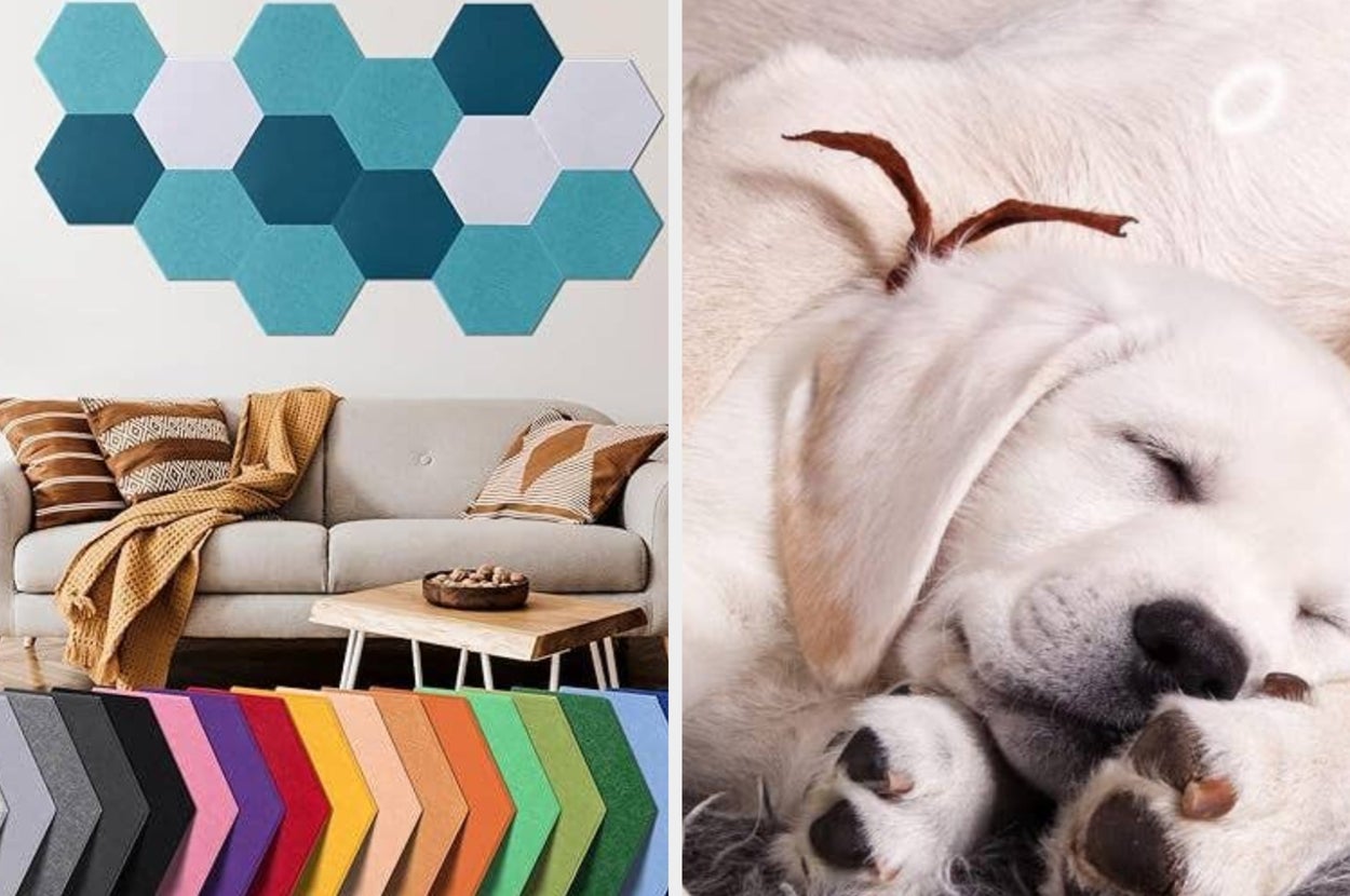 The wall panels and a sleeping puppy