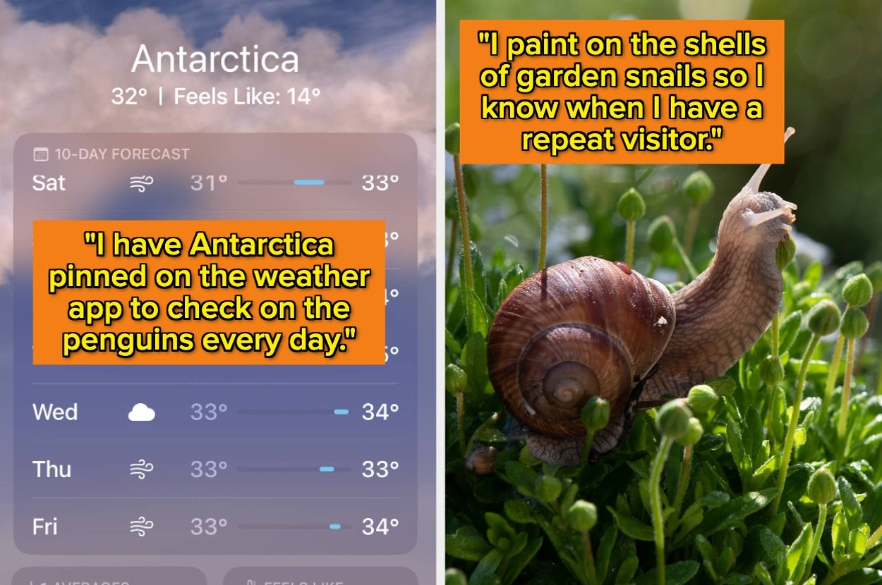 Side-by-side images: a weather app pinned to Antarctica; a snail with a painted shell on grass