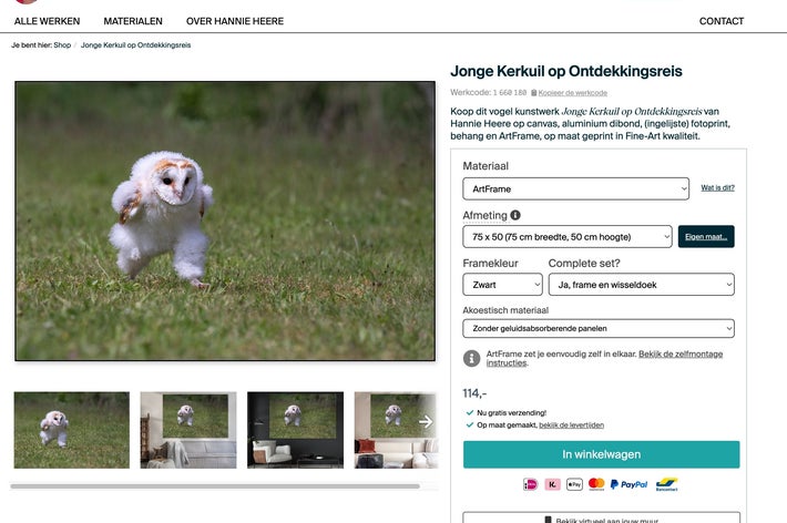 撮影者公認で部屋に飾る「走るフクロウの赤ちゃん」の写真を販売しているサイト