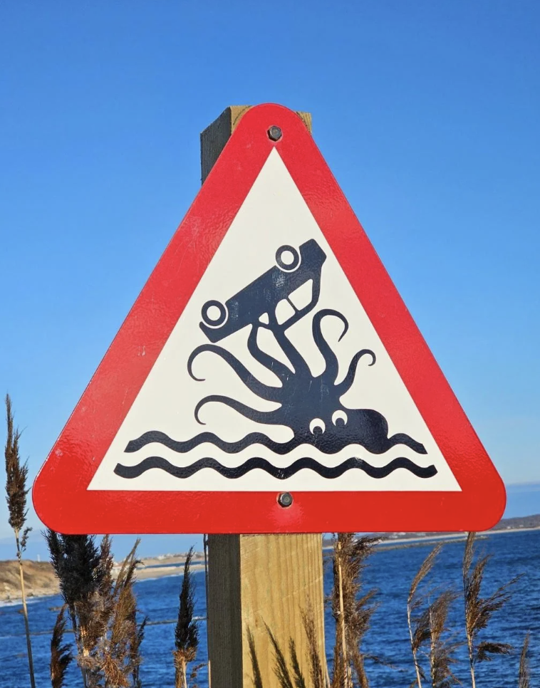 Traffic motion   showing a car   being grasped by an octopus-like creature, suggesting caution adjacent   water