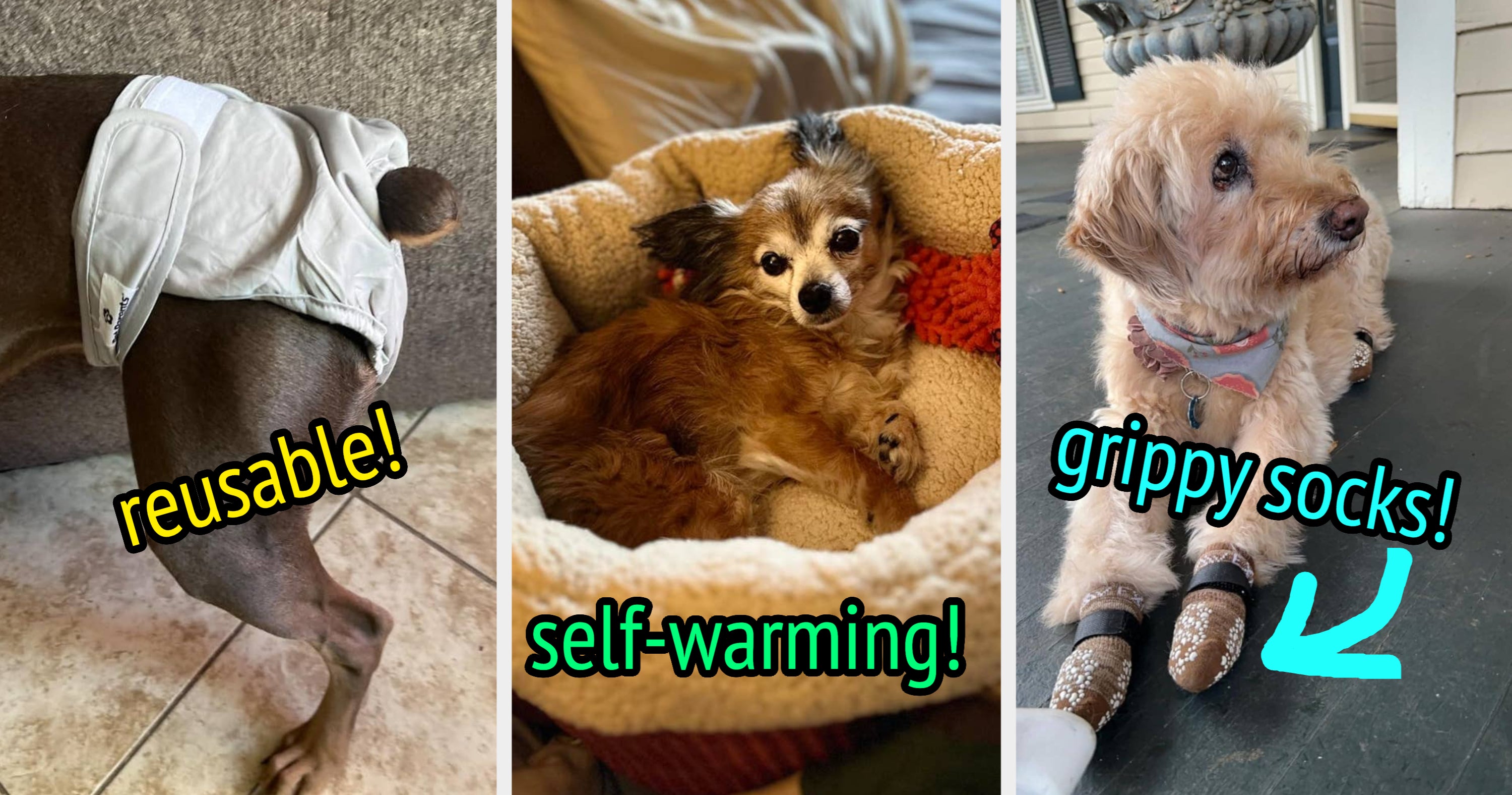 29 Useful Products Pet Owners With Old Dogs Swear By