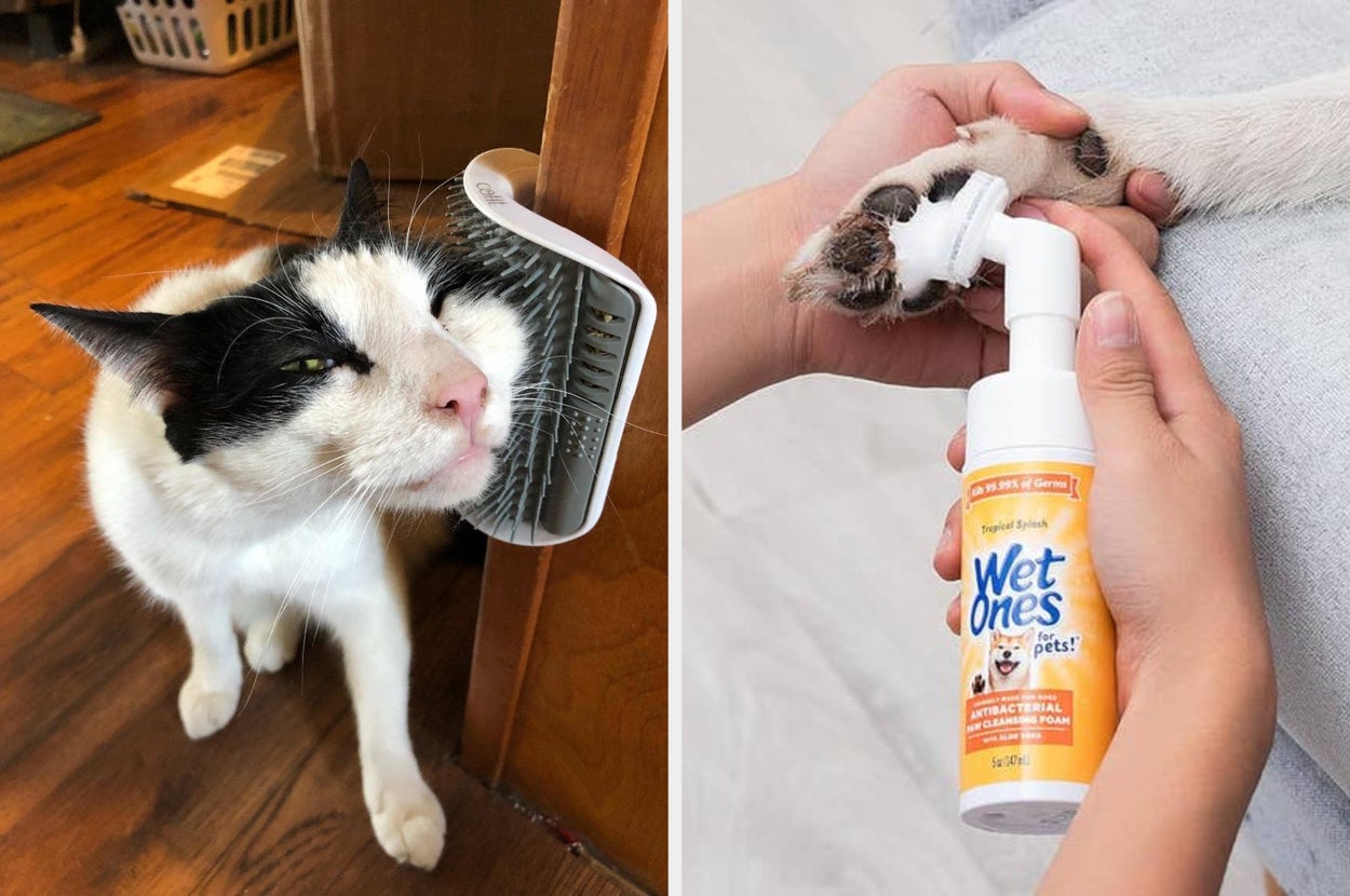 Cat rubbing against corner brush; hand cleans a dog's paw with Wet Ones Pets Hypoallergenic Wipes