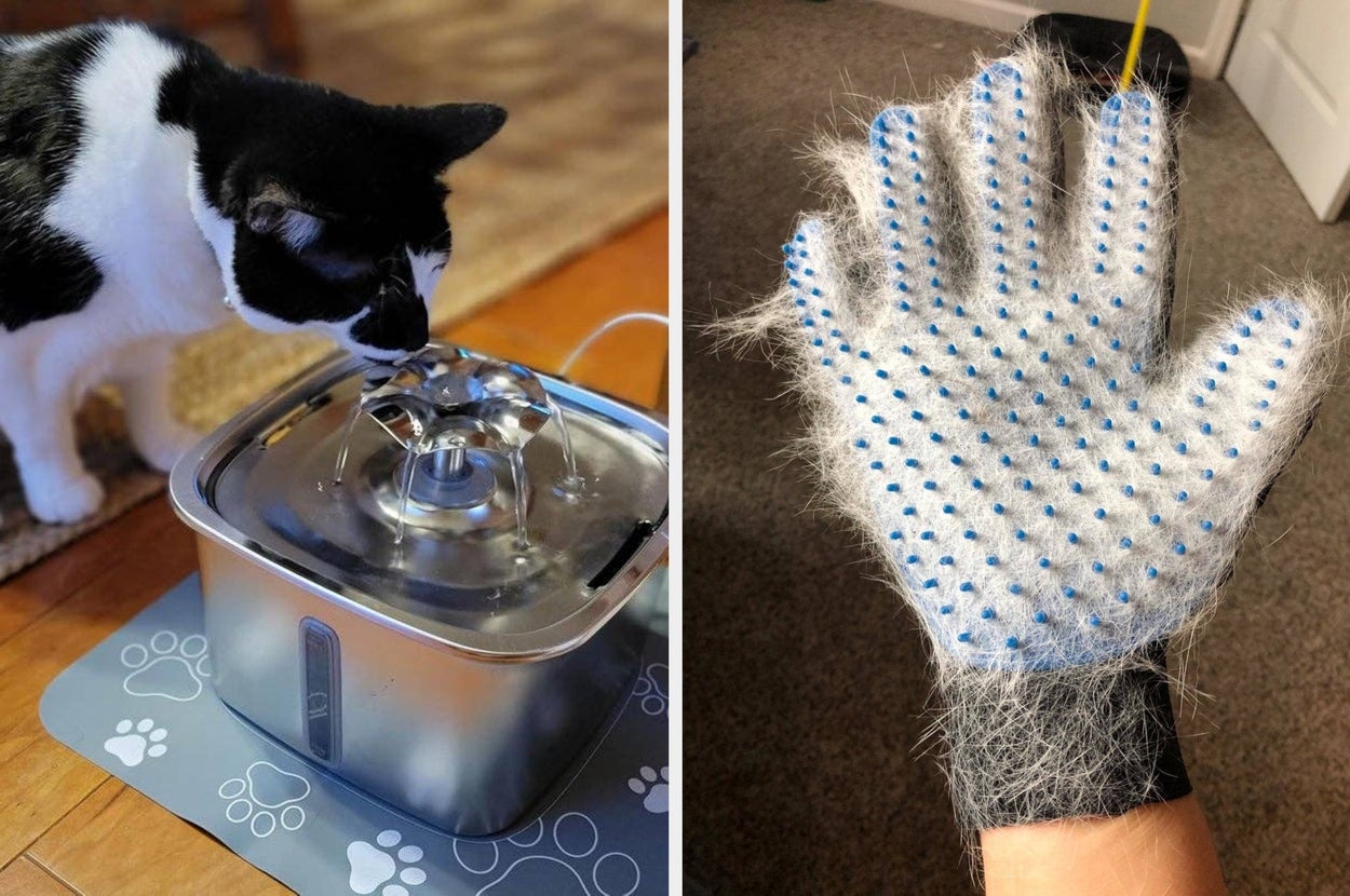 Cat drinking from a pet water fountain and a grooming glove with fur stuck to it