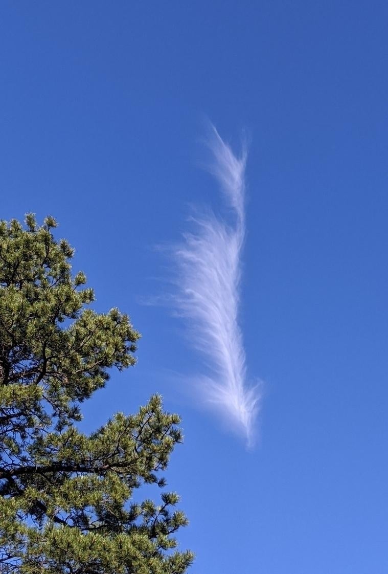 19 Clouds That Look Like Things