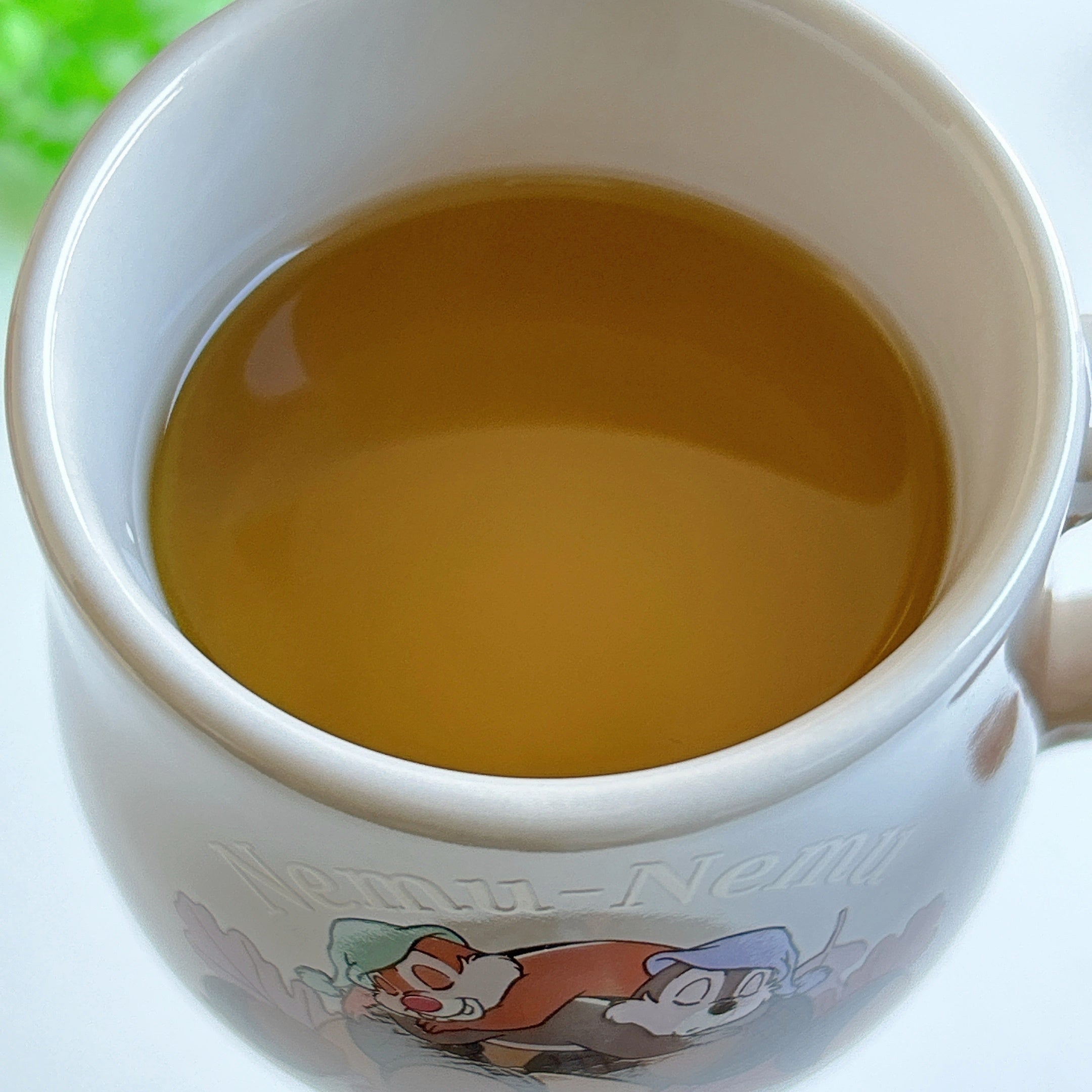 やっぱ、ディズニー最高だよ！お土産で買って大正解だった「激かわボトル＆コップ」3選《購入レビュー》【画像・動画】