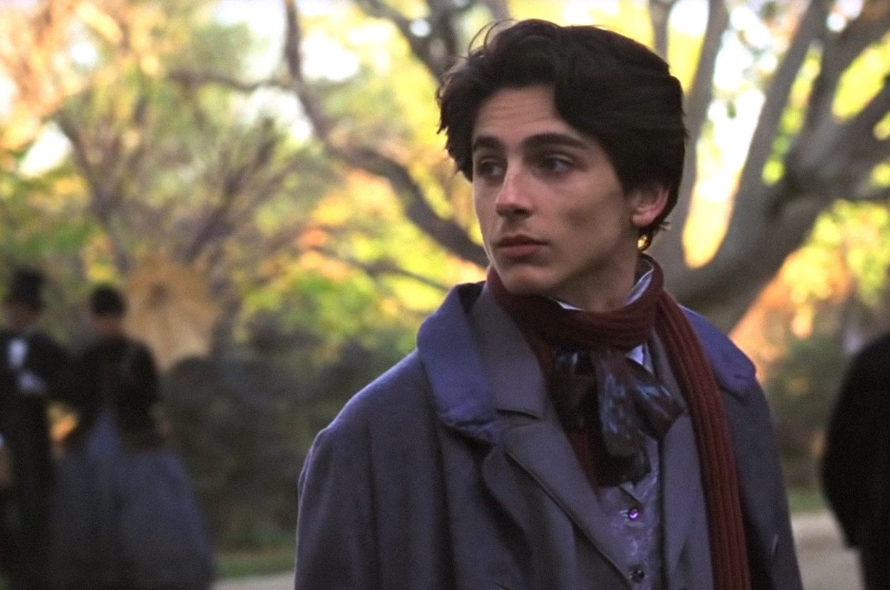 Travel Around France And I'll Give You A Timothée Chalamet Movie Rec