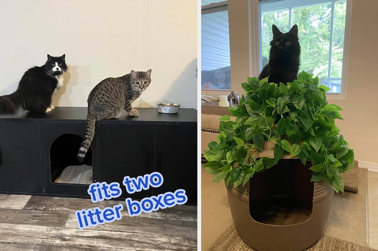 Cat Litter Box Homemade Stray Cat Litter Box Homemade Cat Stray