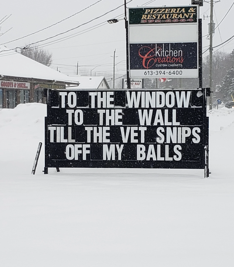 Snowy country   with a humorous motion   saying, "To the window, to the wall, till the vet snips disconnected  my balls."