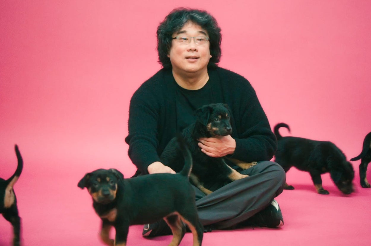 A person sits on a bright background, holding a puppy, surrounded by several other puppies