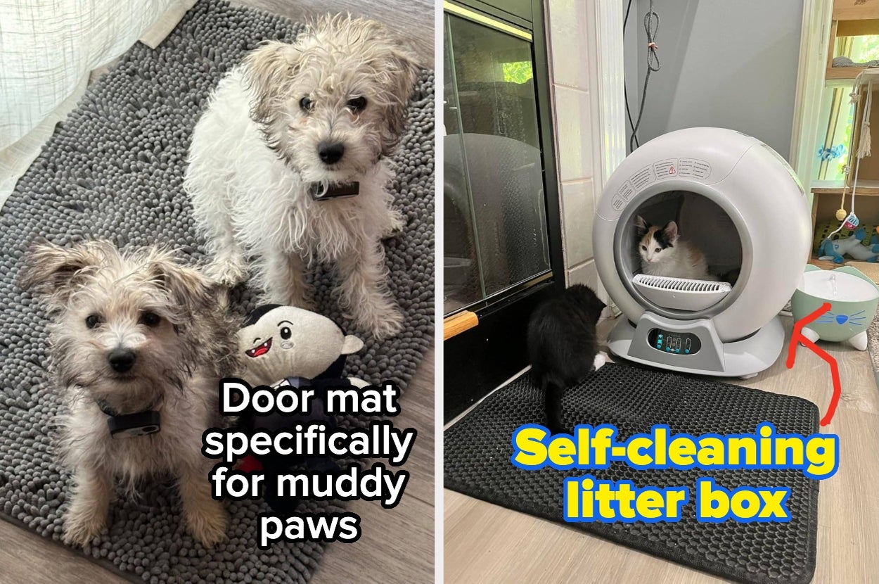 Two dogs on a mat for muddy paws; a cat in a self-cleaning litter box
