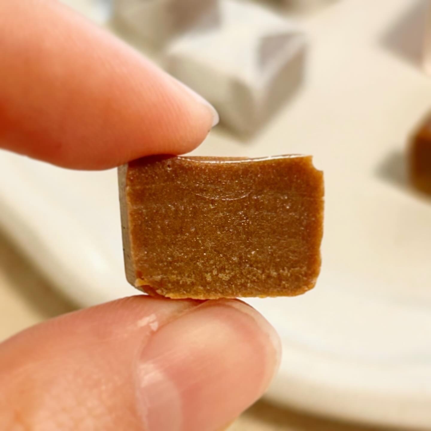 キャラメル adidas ZX 8000 Consortium Cup END. Future Men's - IG8562 - US