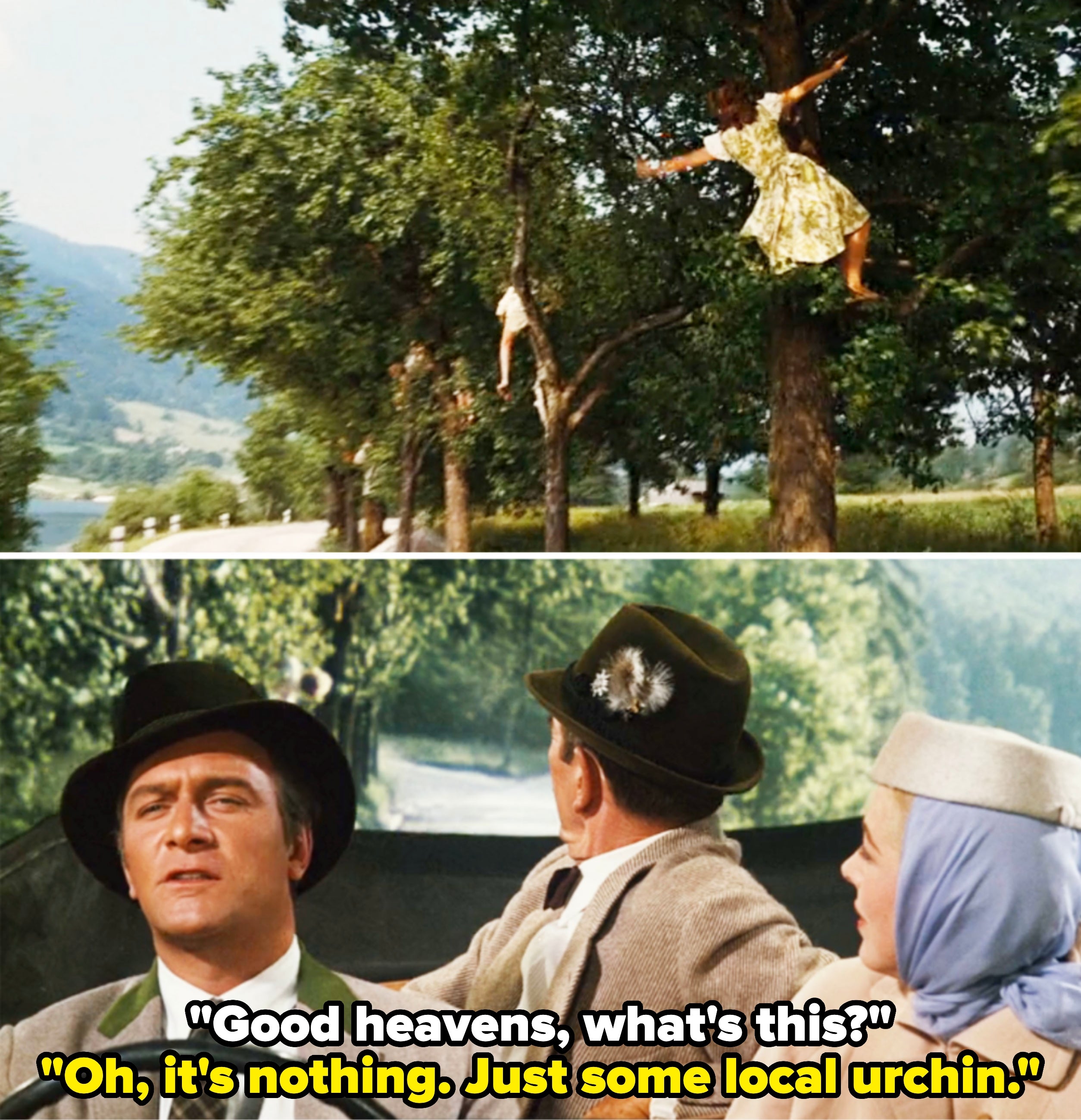 A scene from "The Sound of Music" with the von Trapp children climbing trees as the Captain and Elsa look on