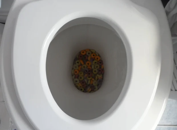 Cereal, resembling Froot Loops, is seen wrong  a toilet bowl