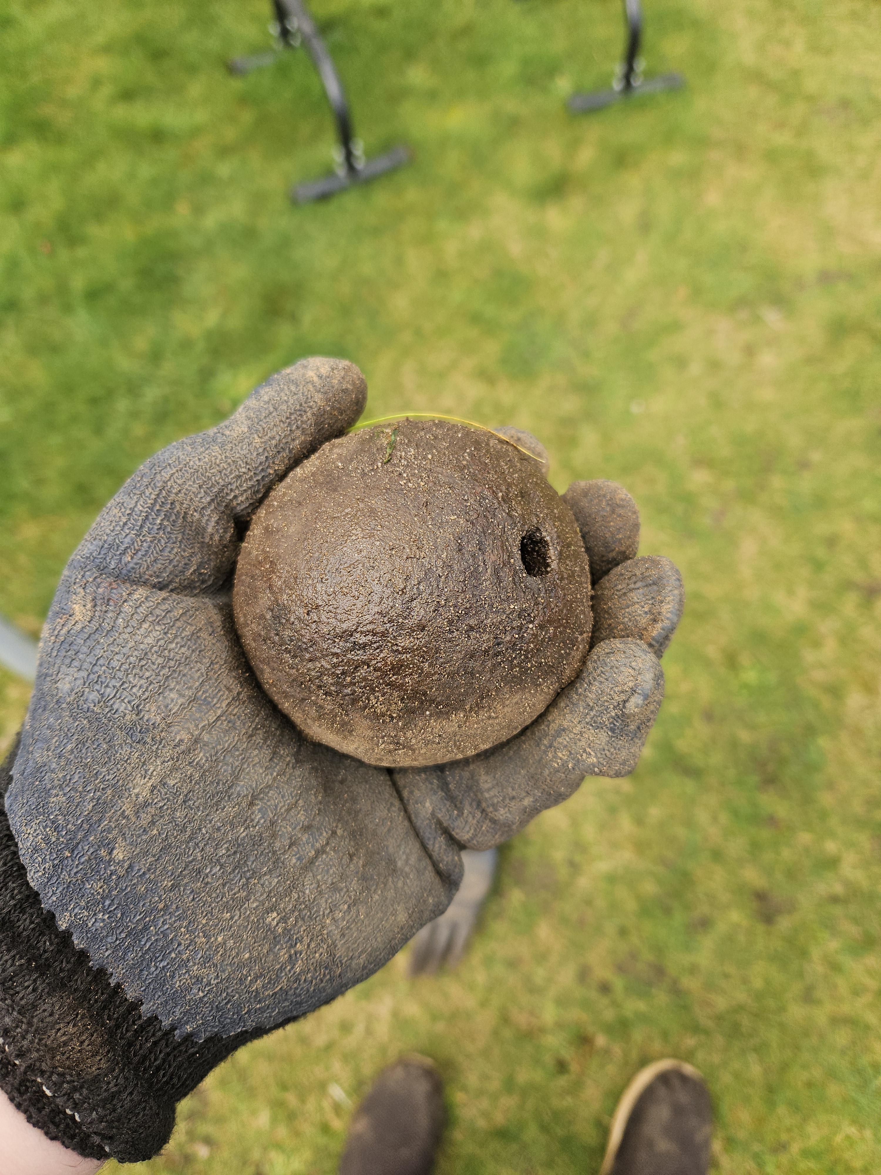 A gloved hand holds a round, rough object with a small hole, outside on grass