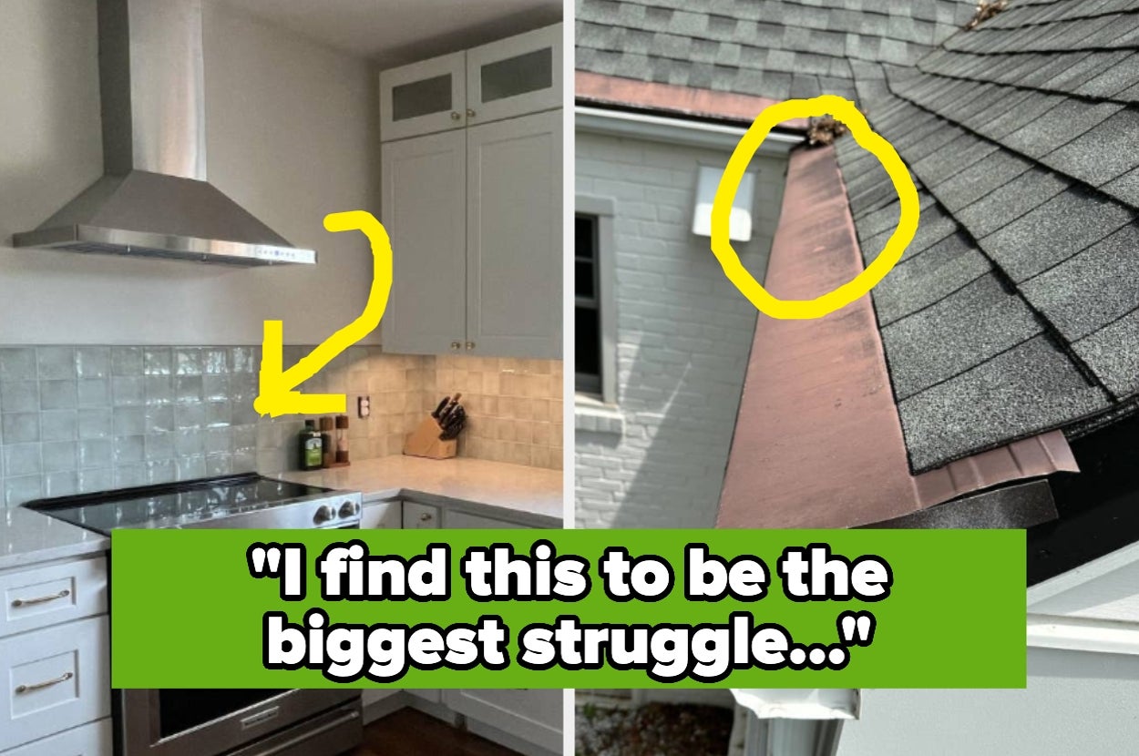 Split image: Kitchen with an arrow pointing to a cabinet over stove; roof with raccoon circled. Caption: "I find this to be the biggest struggle..."