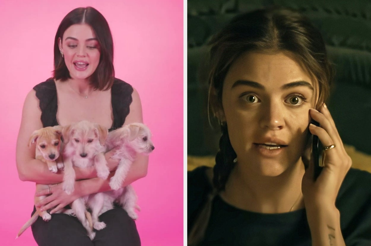 Person holding three puppies on the left; person on the phone with a concerned expression on the right