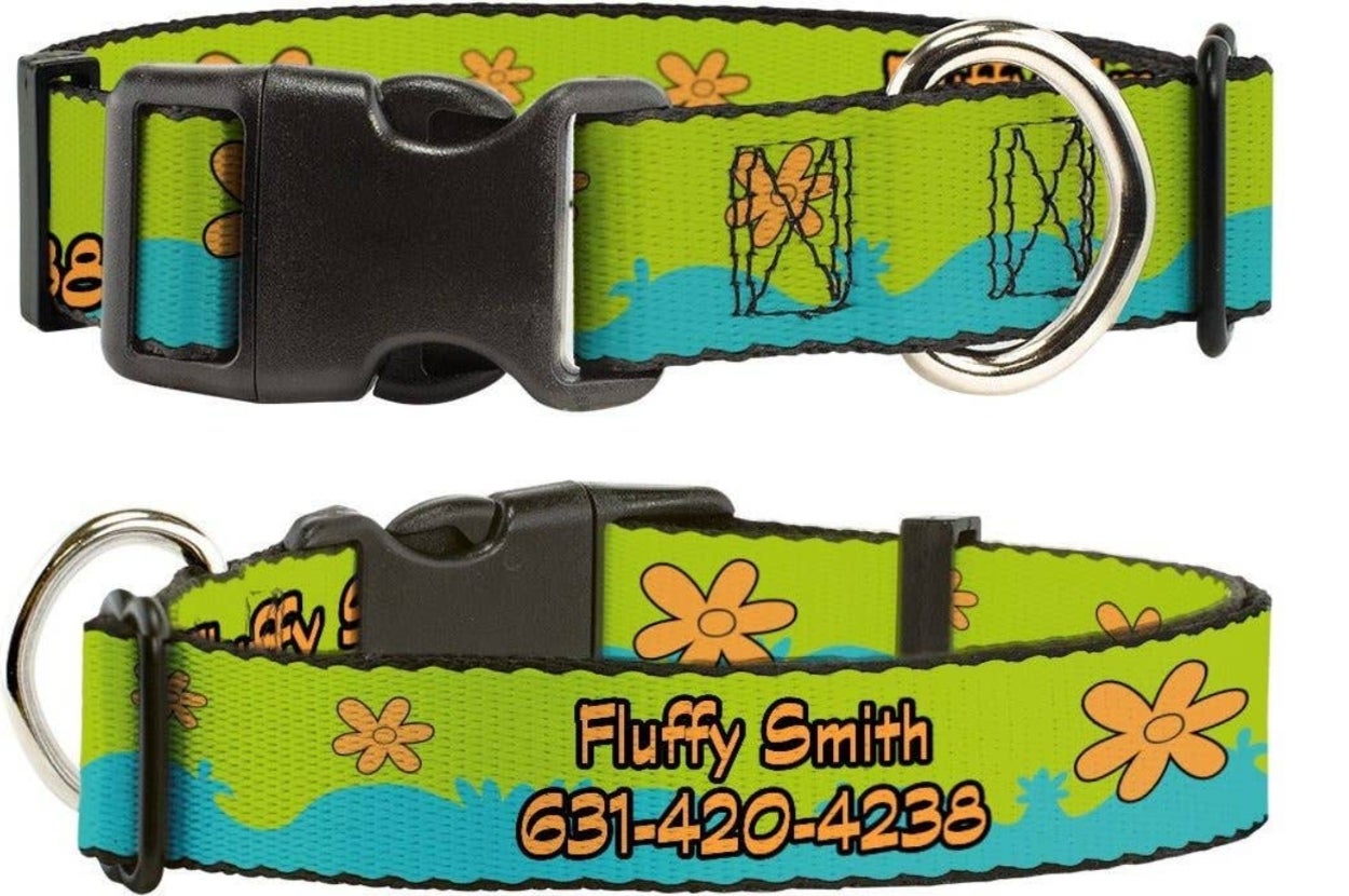 Dog collar with "Fluffy Smith 631-420-4238" and floral design
