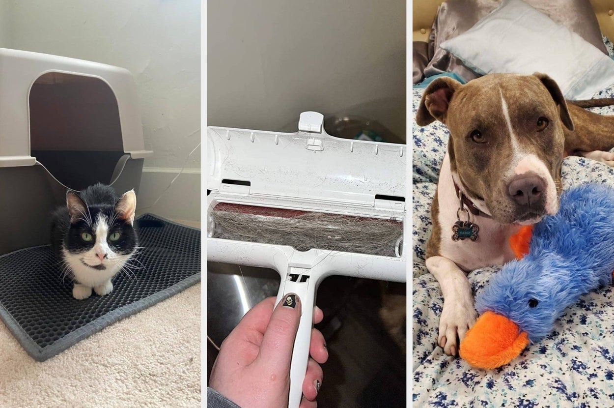 A cat near a litter box, a pet hair remover tool, and a dog with a toy on a bed, depicting pet care and cleaning products