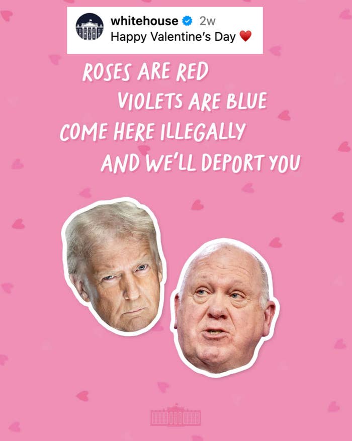 Text on pink background: "Roses are red, violets are blue, come here illegally and we'll deport you," with two edited faces below
