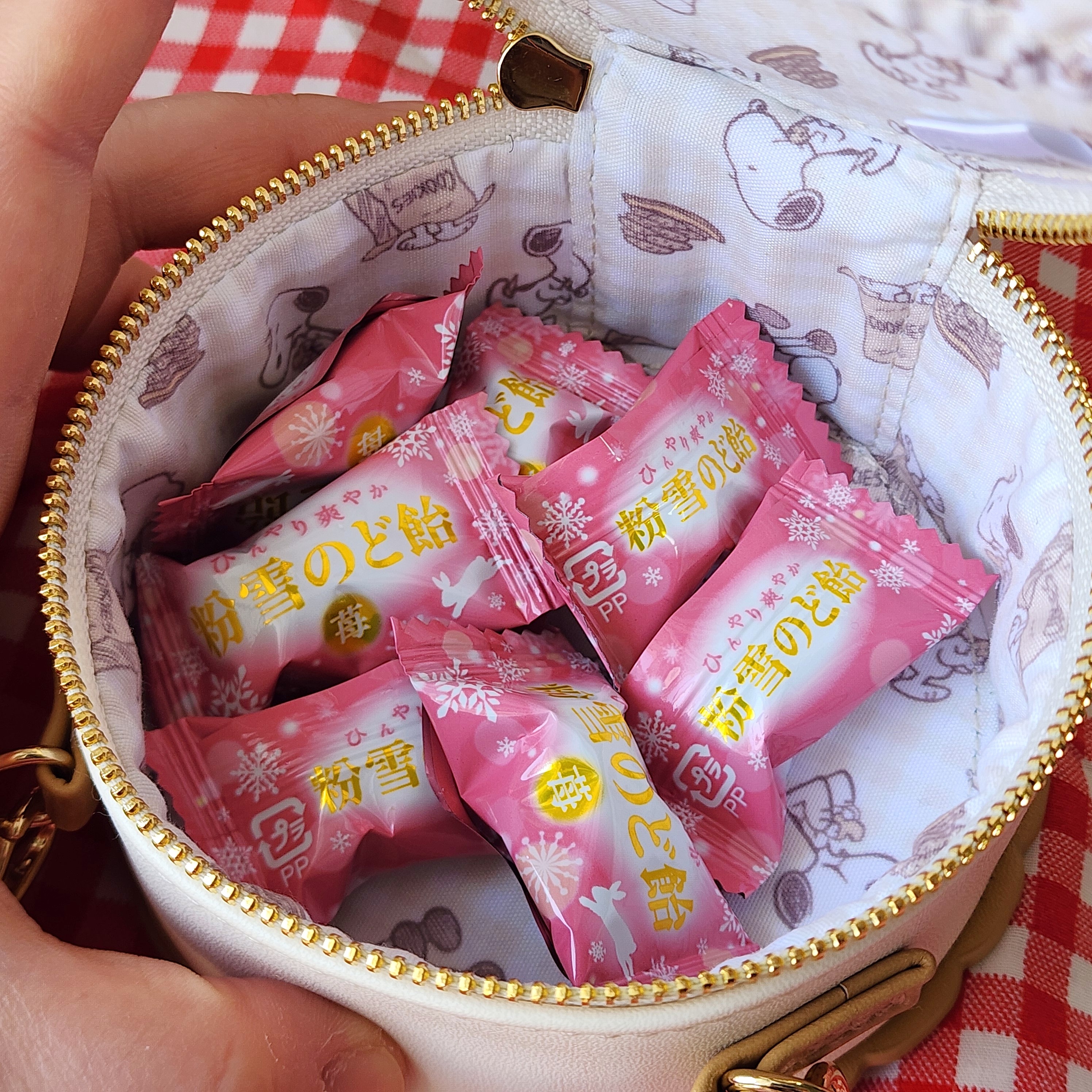 プラザで見つけた「スヌーピーのポーチ」めーーっちゃかわいい