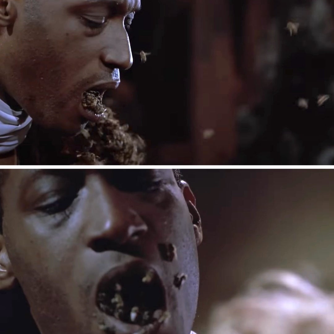 Bees emerging from Todd's mouth