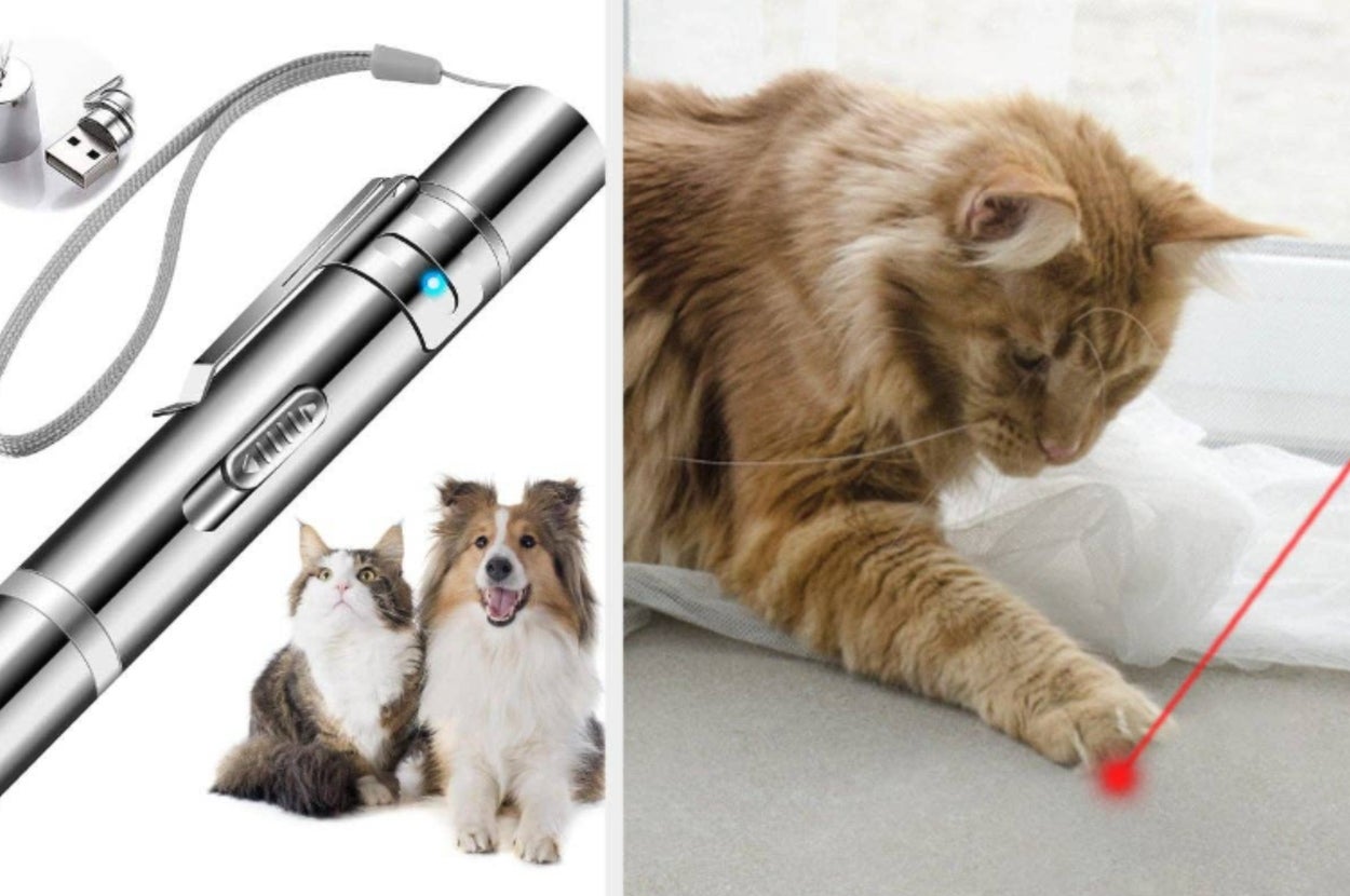The laser pointer