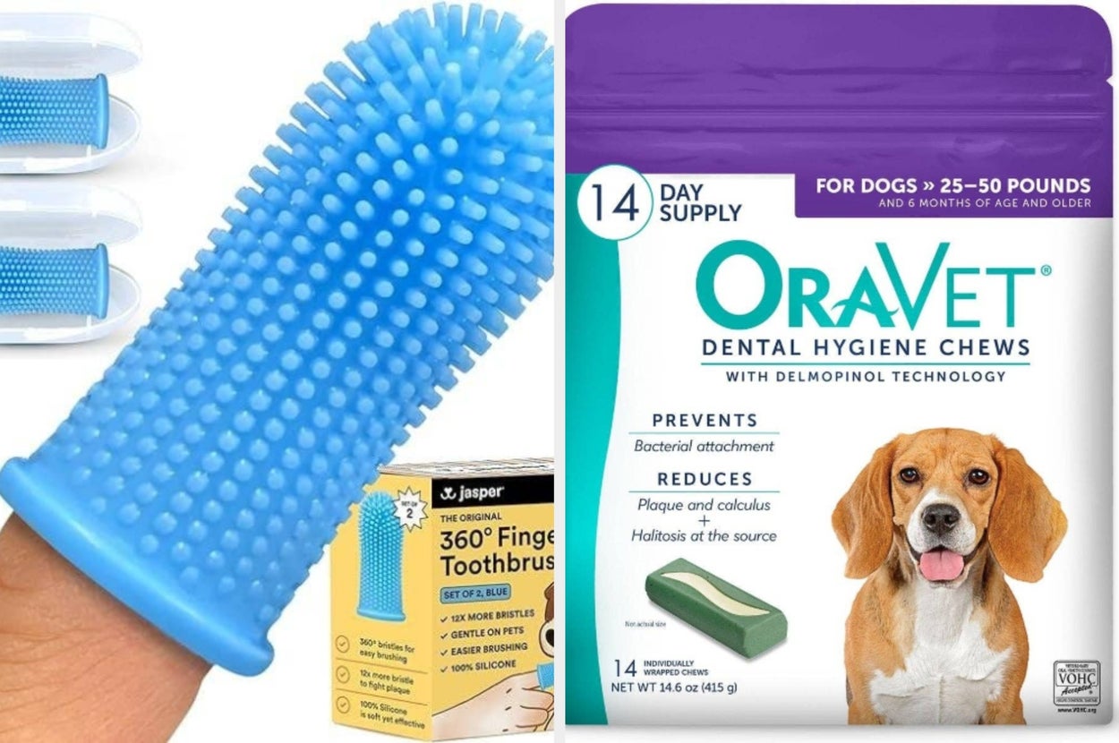 Two pet dental hygiene products: a blue finger toothbrush and a package of dental chews for dogs