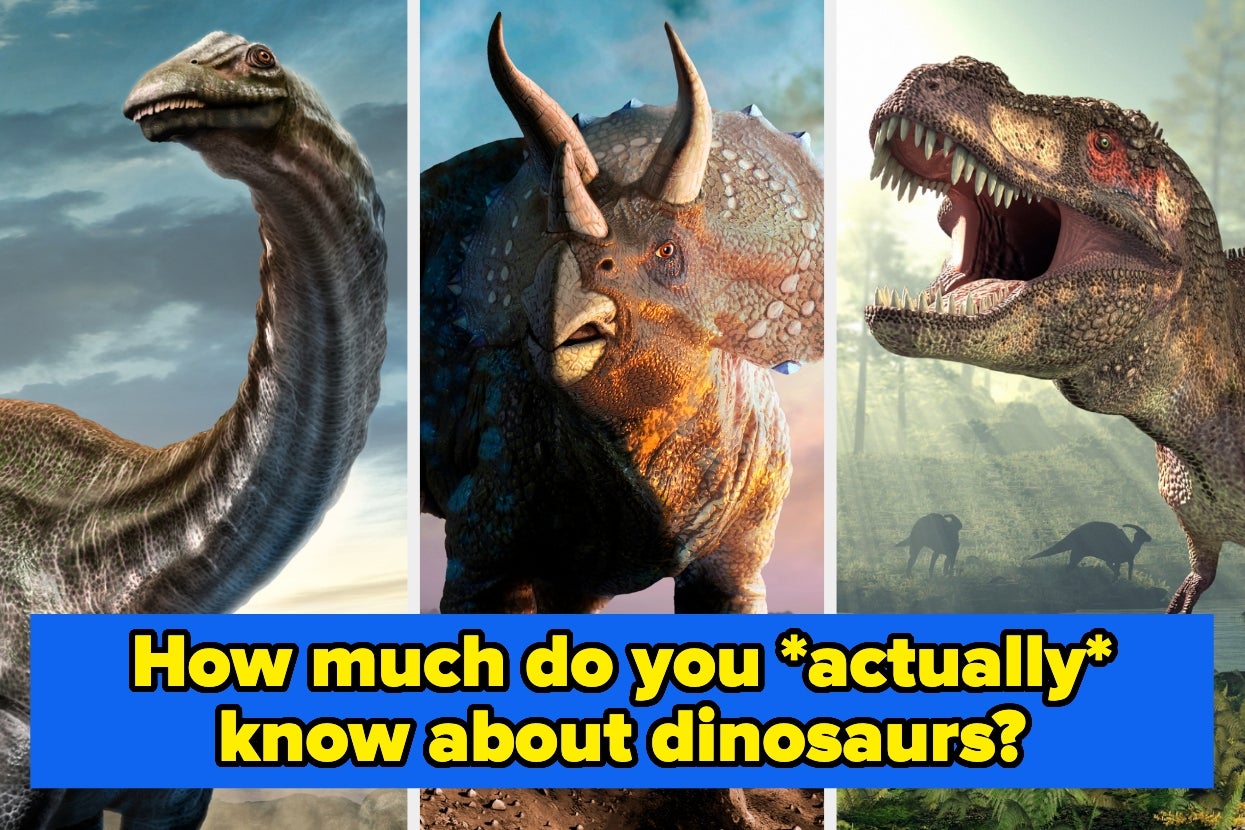 8-Year-Old You Is Going To Be So Disappointed If You Can’t Correctly Answer 9/13 Of These Questions About Dinosaurs