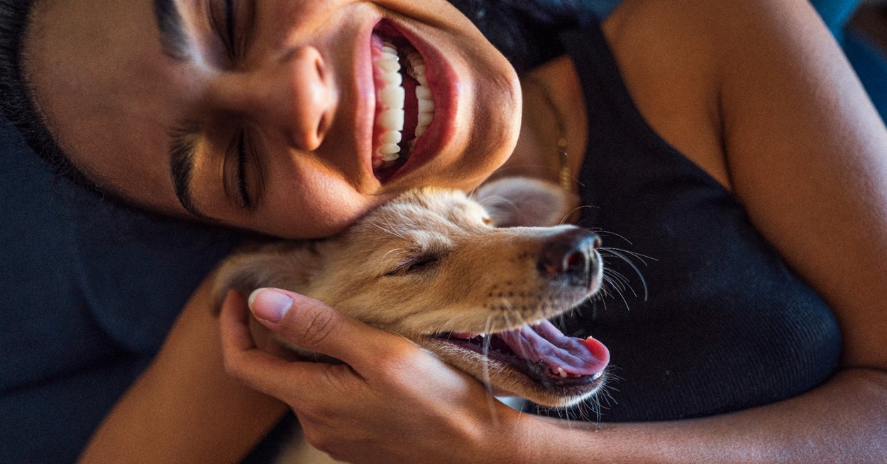 These Are The Changes Veterinarians Would Never Ignore In Their Dogs