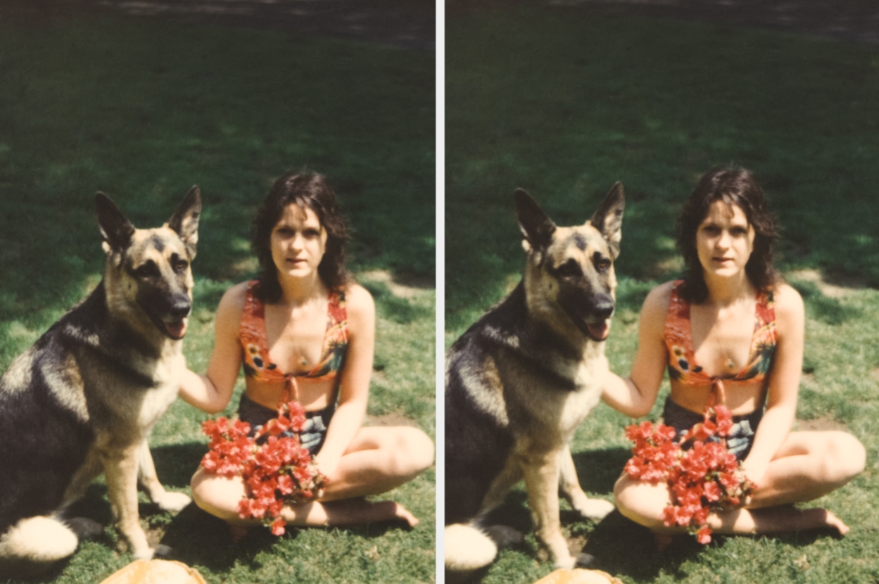 Person sitting on grass with a German Shepherd, holding flowers
