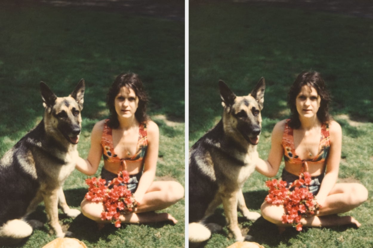 The Warning Signs In Dogs That Veterinarians Say You Should Never, Ever Ignore