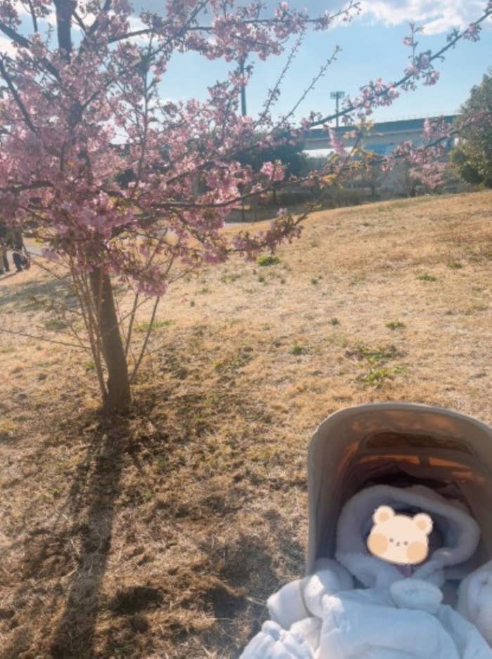 「写真のセンスが皆無」だと振り返る投稿者が撮影したお花見の写真（ぱやさんのXより）