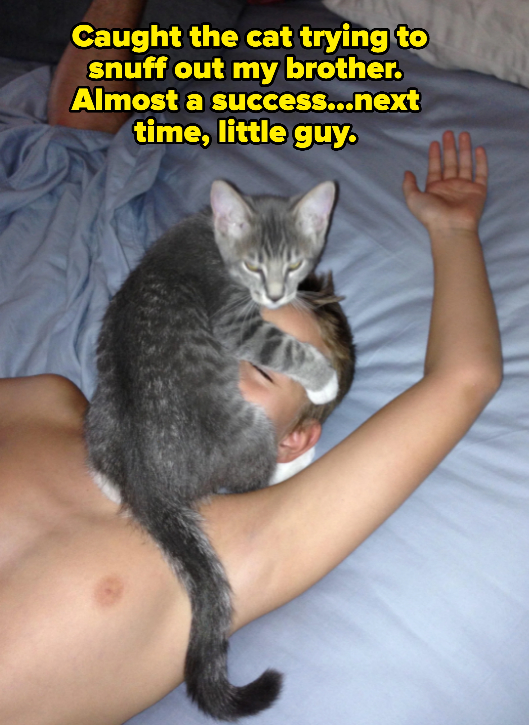 Cat playfully resting on a person&#x27;s face while they sleep captioned &quot;Caught the cat trying to snuff out my brother. Almost a success...next time, little guy&quot;