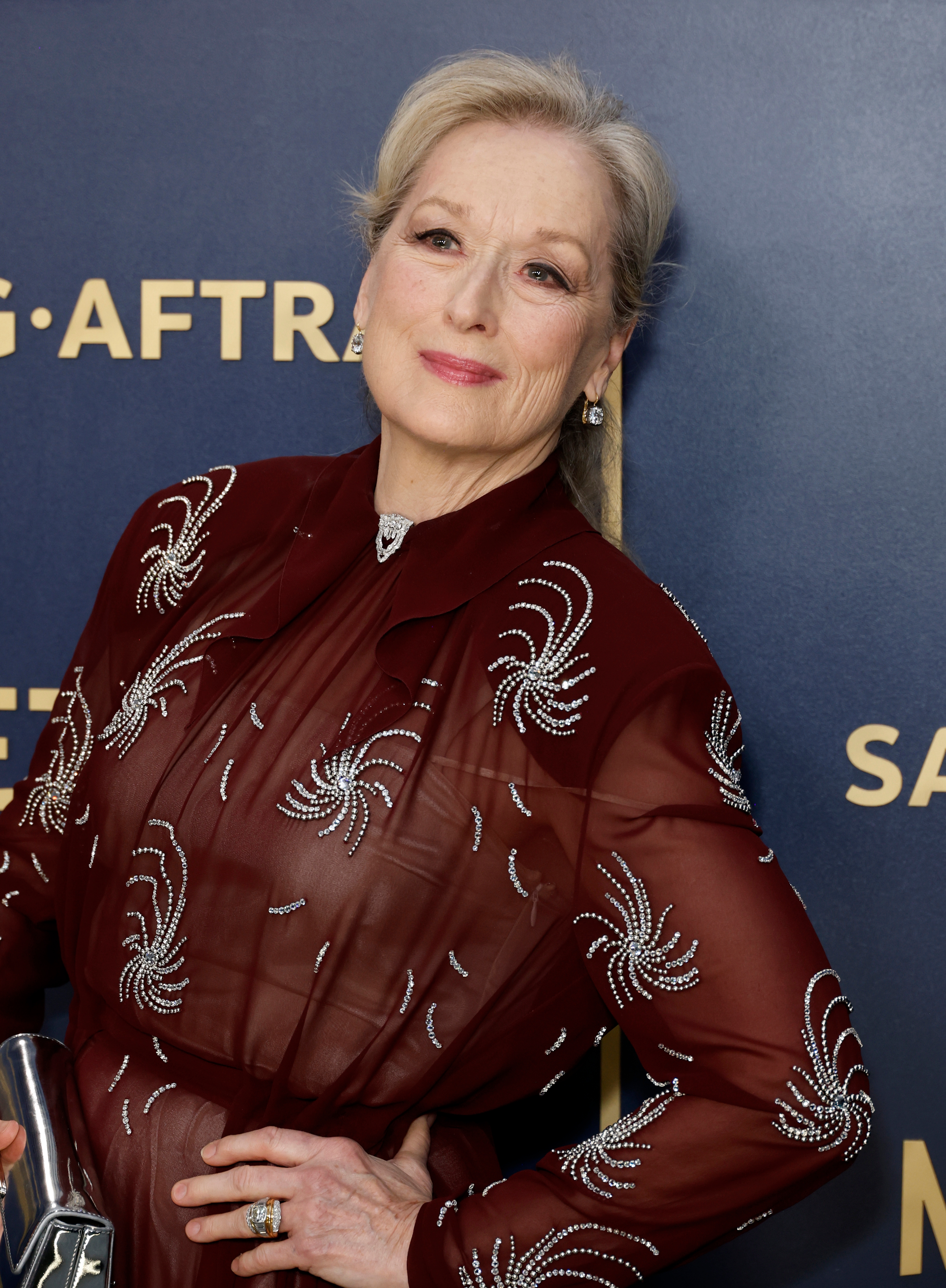 Meryl Streep posing on a red carpet in an elegant, embroidered sheer outfit, holding a metallic clutch