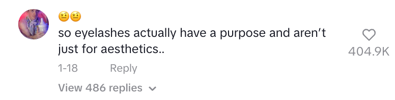 Comment on TikTok saying eyelashes have a purpose, not just aesthetics, with 486 replies and 404.9K likes